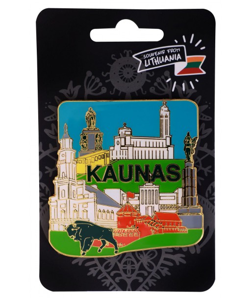 Magnetas Kauno panorama